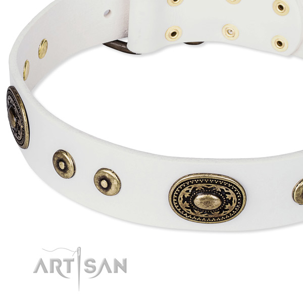 Full grain genuine leather dog collar made of quality material with embellishments
