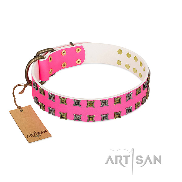 Full grain genuine leather collar with impressive studs for your doggie