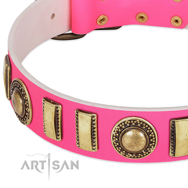 Top rate full grain leather dog collar for your impressive pet