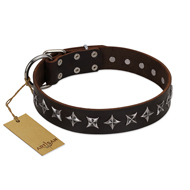 "Stars of Glory" FDT Artisan Brown Leather Belgian Malinois Collar for Comfortable Walking