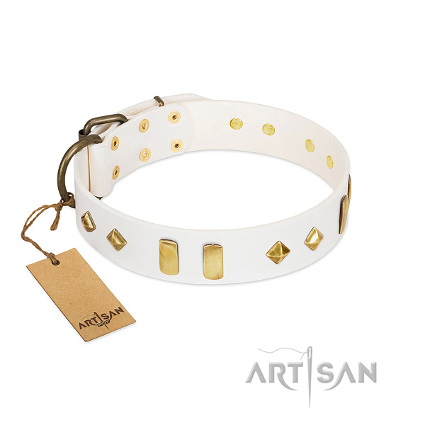 Everyday use high quality full grain genuine leather dog collar with embellishments