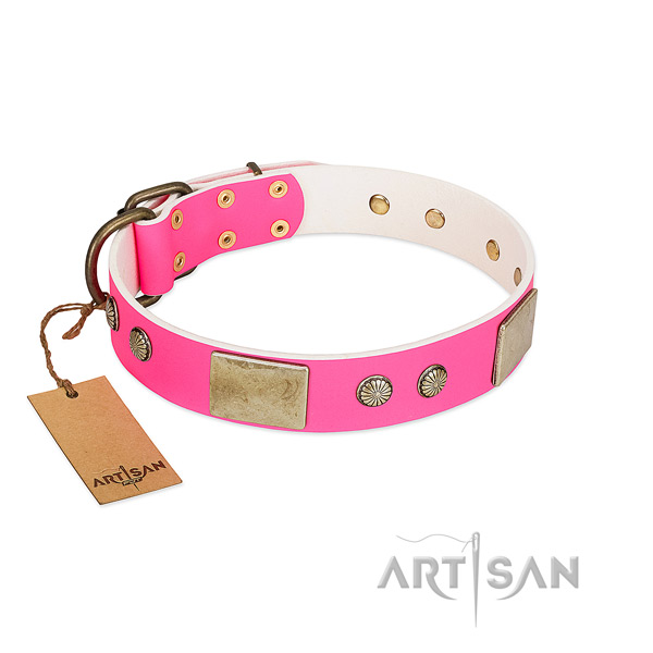 Adjustable full grain genuine leather dog collar for walking your dog