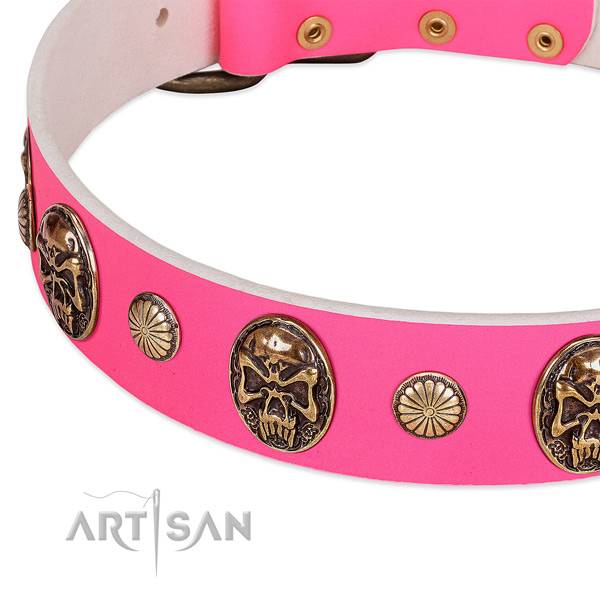 Rust resistant traditional buckle on genuine leather dog collar for your four-legged friend