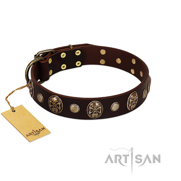 Significant leather dog collar for stylish walking