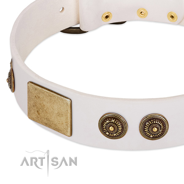 Adorned dog collar made for your beautiful four-legged friend