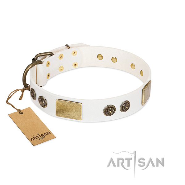 Unusual full grain natural leather dog collar for fancy walking