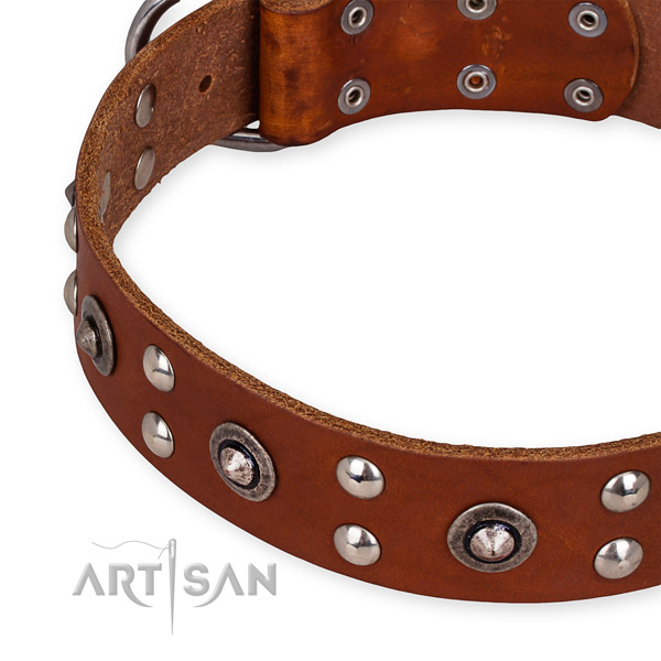 Full grain leather collar with rust-proof traditional buckle for your beautiful canine