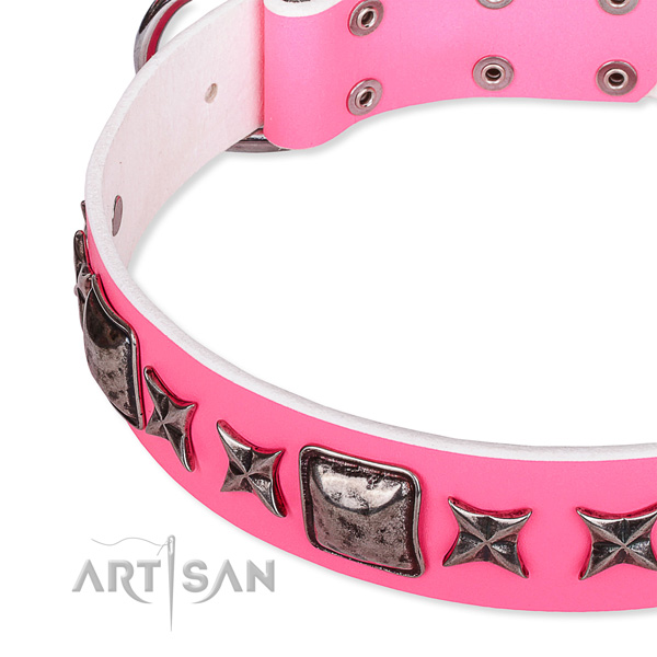 Daily use adorned dog collar of reliable full grain genuine leather
