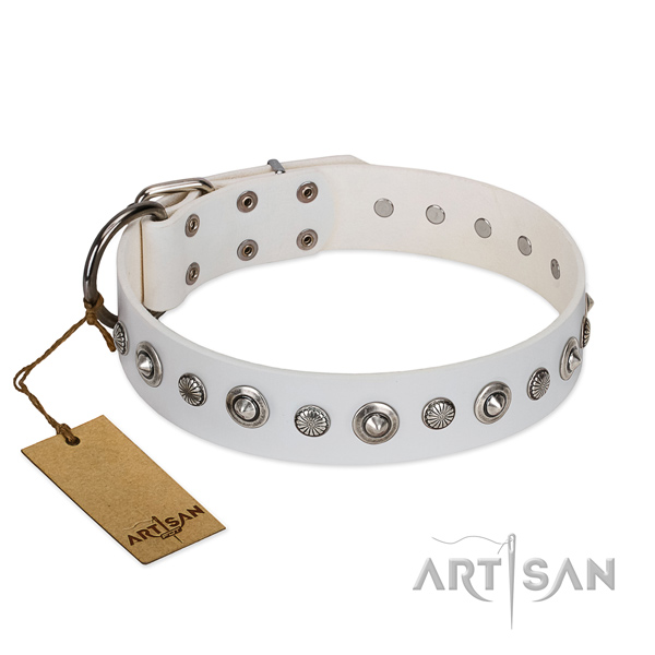 Strong full grain natural leather dog collar with stylish studs