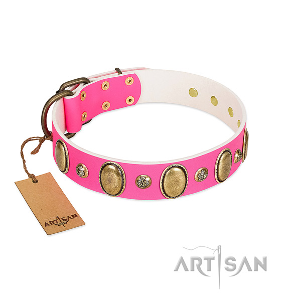 Full grain leather dog collar of soft material with amazing decorations