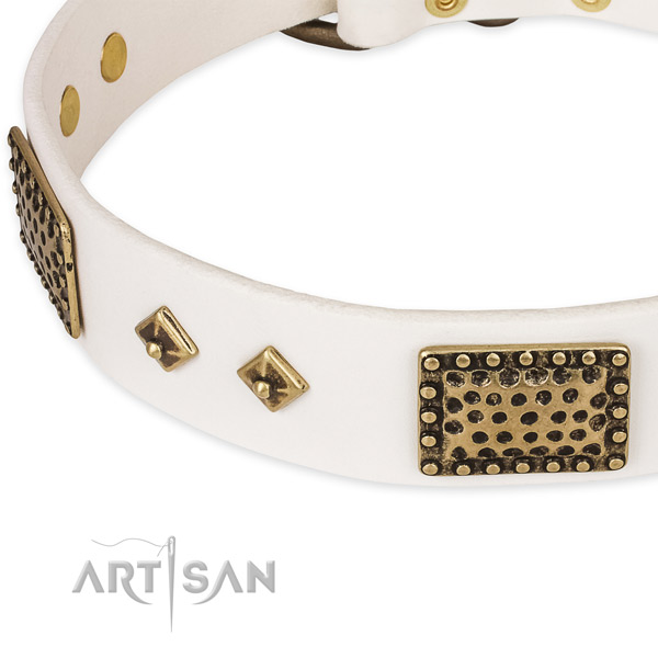 Reliable fittings on full grain leather dog collar for your dog