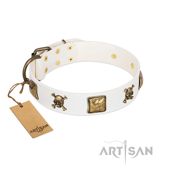 Inimitable genuine leather dog collar with strong embellishments