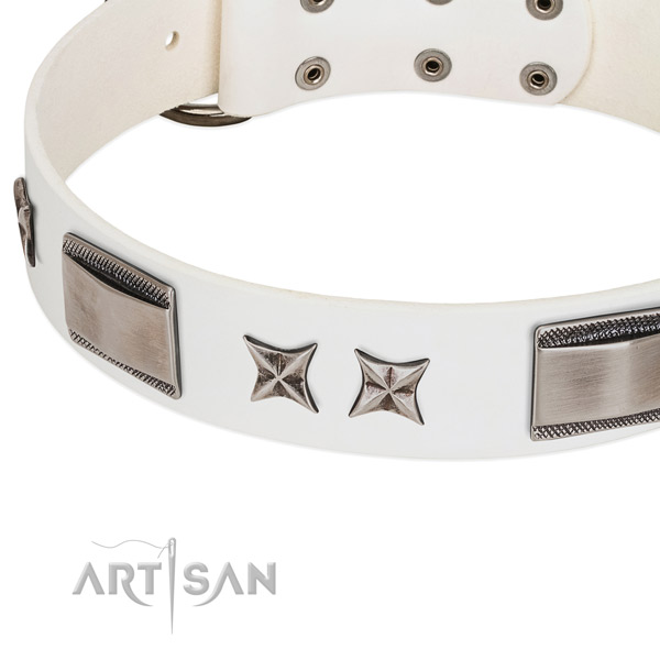 Gentle to touch full grain leather dog collar with rust-proof hardware
