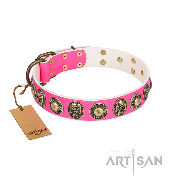 Adjustable genuine leather dog collar for everyday walking your dog