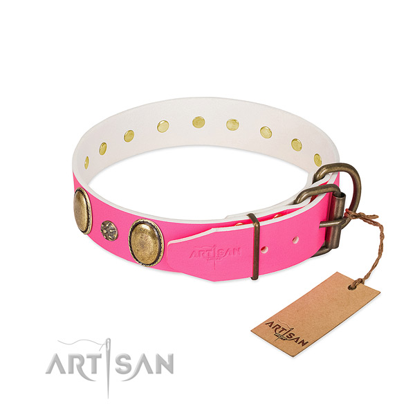 Durable full grain leather dog collar with adornments