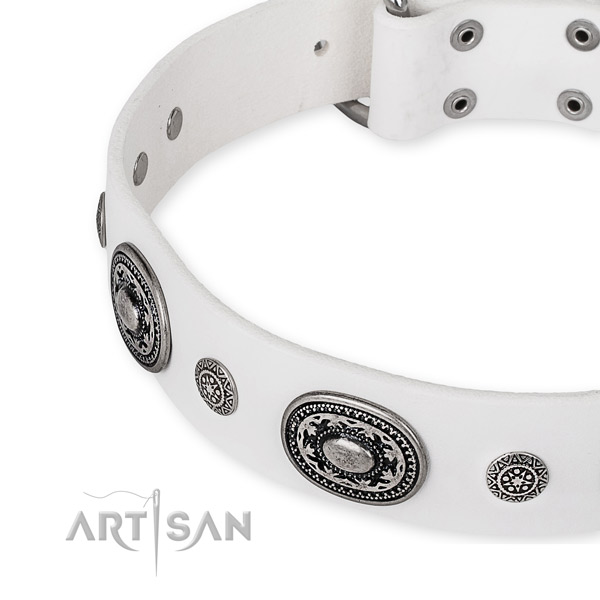 Strong genuine leather dog collar handmade for your impressive pet