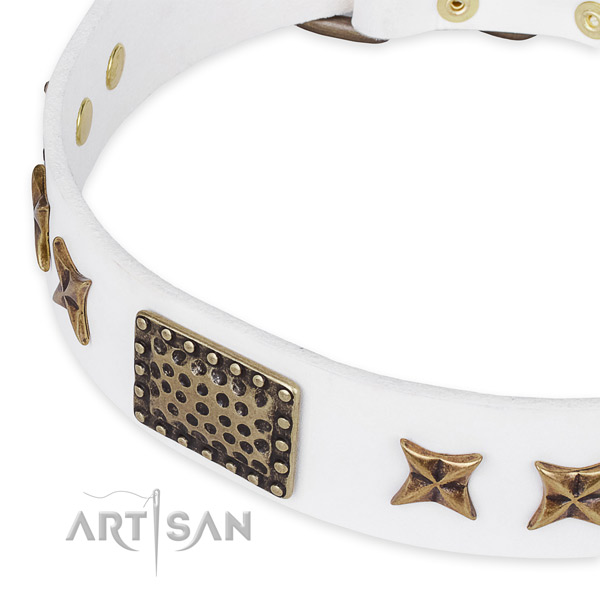Genuine leather collar with reliable D-ring for your stylish pet