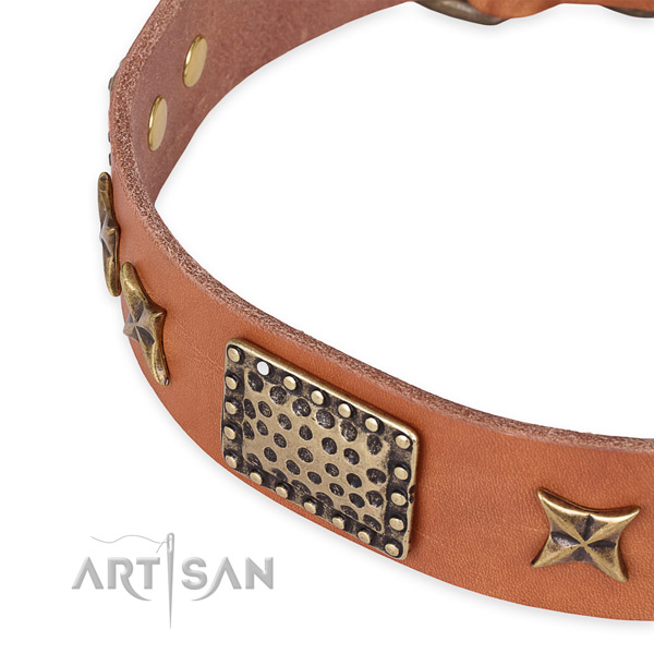 Full grain leather collar with rust resistant D-ring for your lovely canine