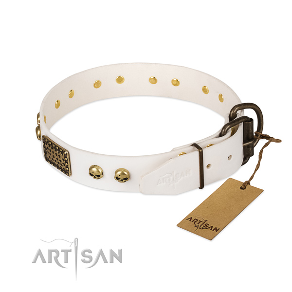 Adjustable leather dog collar for walking your four-legged friend