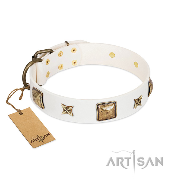 Unique full grain leather dog collar for everyday use