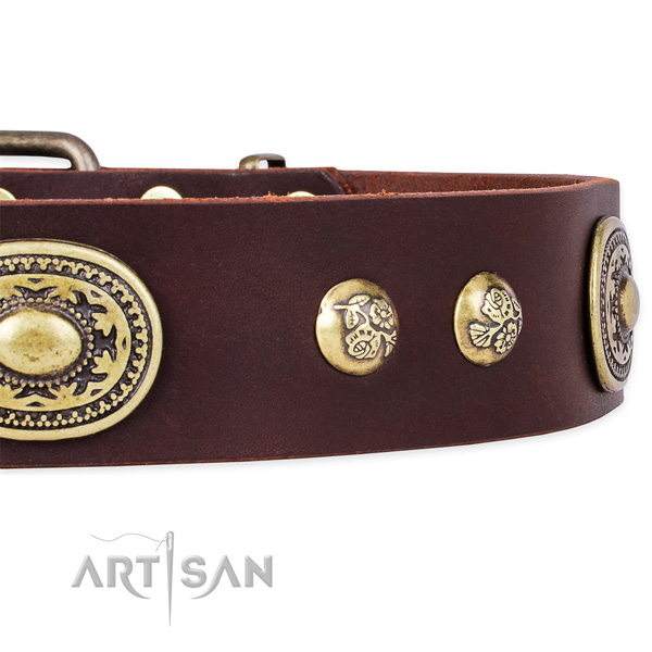 Decorated genuine leather collar for your attractive four-legged friend