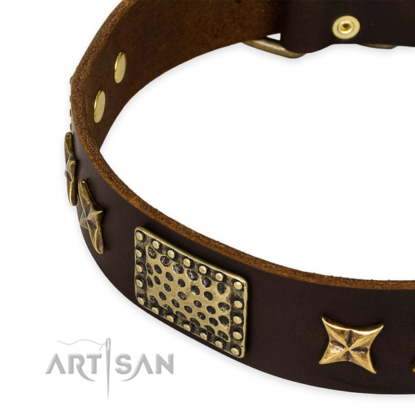 Full grain natural leather collar with strong hardware for your stylish canine