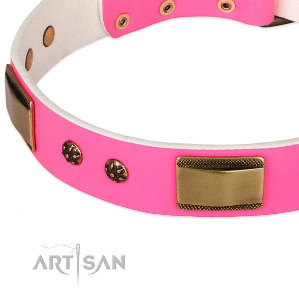 Strong embellishments on leather dog collar for your four-legged friend
