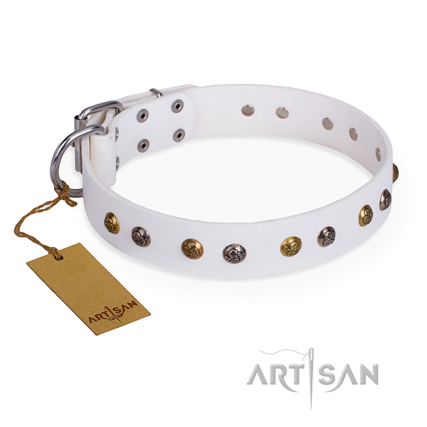Everyday walking trendy dog collar with strong buckle