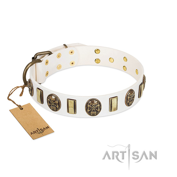Amazing natural genuine leather dog collar for daily use