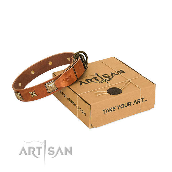 Stunning leather collar for your impressive pet