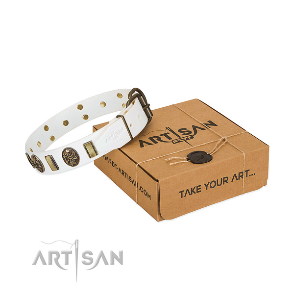 Strong traditional buckle on full grain genuine leather dog collar for everyday use