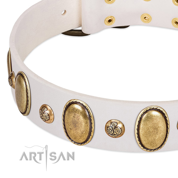 Full grain natural leather dog collar with exceptional adornments