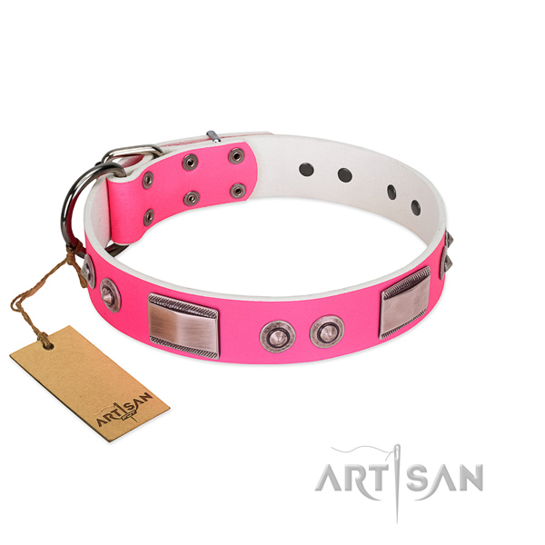 Impressive natural leather collar with embellishments for your pet