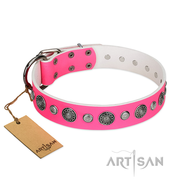 Strong leather dog collar with corrosion resistant fittings