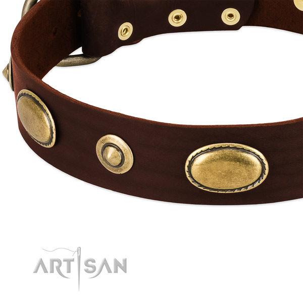 Durable adornments on natural leather dog collar for your canine