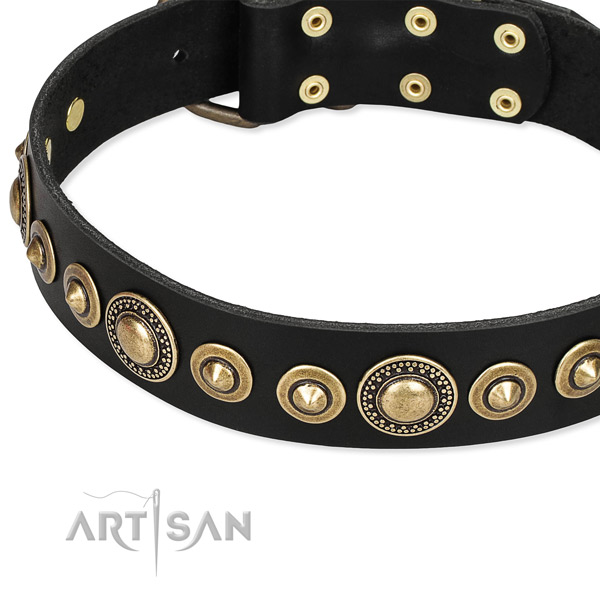 Top notch leather dog collar created for your lovely pet