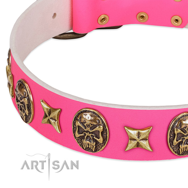 Leather dog collar with unusual embellishments