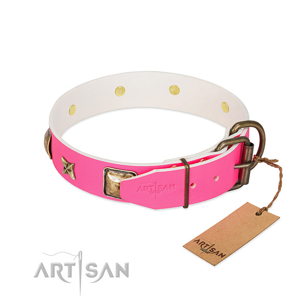 Rust resistant traditional buckle on leather collar for stylish walking your dog