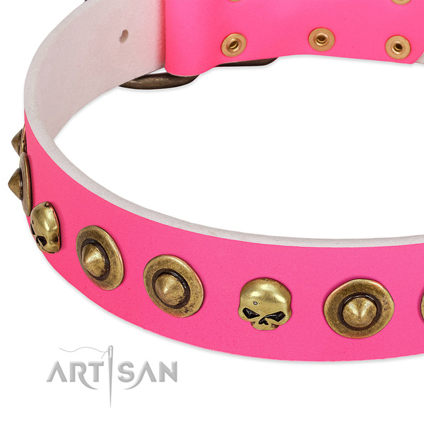 Fashionable studs on full grain leather collar for your dog