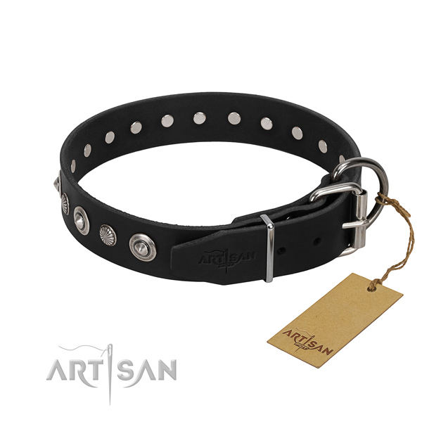 Top notch genuine leather dog collar with inimitable decorations