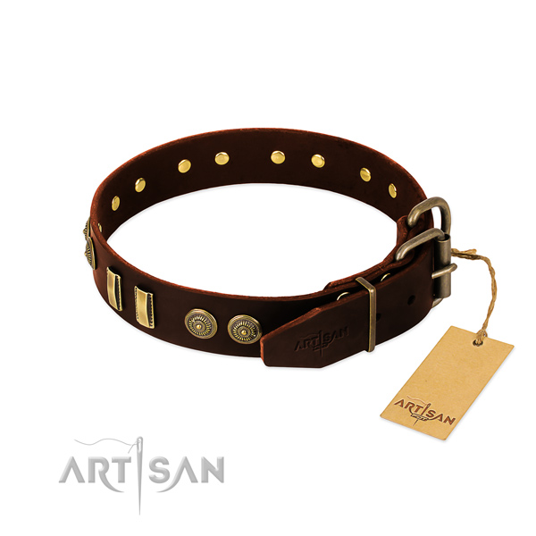 Corrosion proof buckle on leather dog collar for your canine