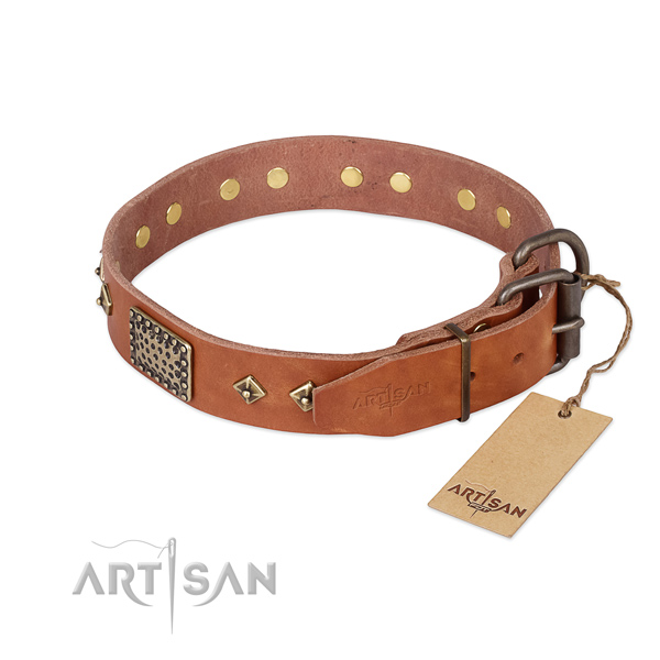 Full grain natural leather dog collar with rust-proof hardware and decorations