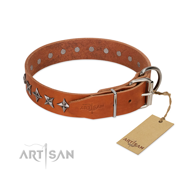 Comfortable wearing adorned dog collar of high quality full grain leather