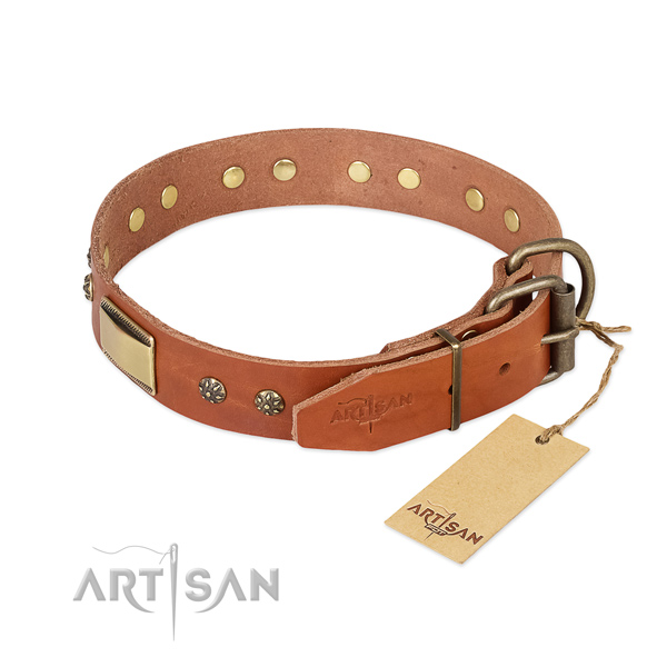 Full grain natural leather dog collar with strong traditional buckle and adornments