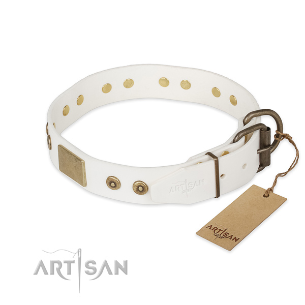 Full grain leather dog collar with durable hardware and embellishments