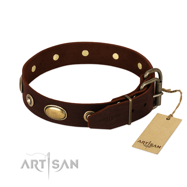 Durable adornments on full grain leather dog collar for your doggie
