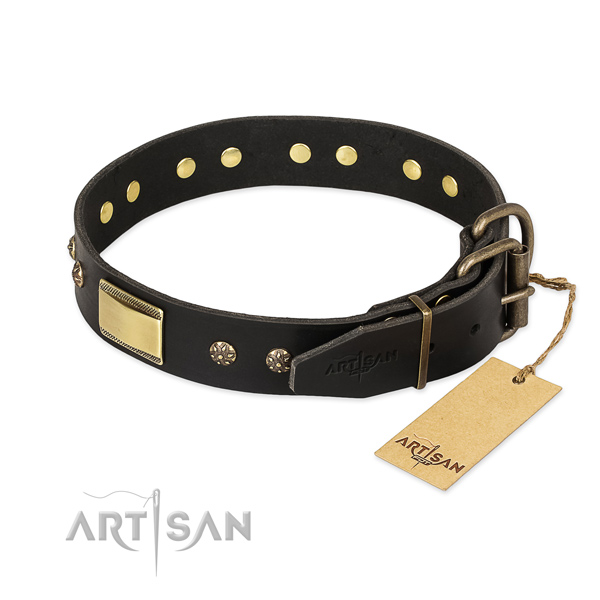 Full grain natural leather dog collar with reliable hardware and embellishments
