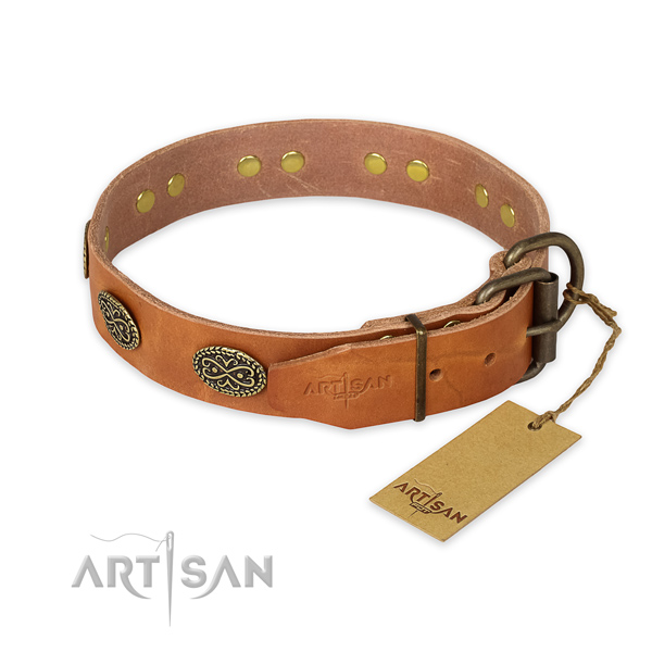 Strong hardware on natural genuine leather collar for stylish walking your canine