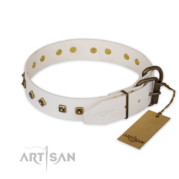 Rust-proof buckle on genuine leather collar for everyday walking your pet