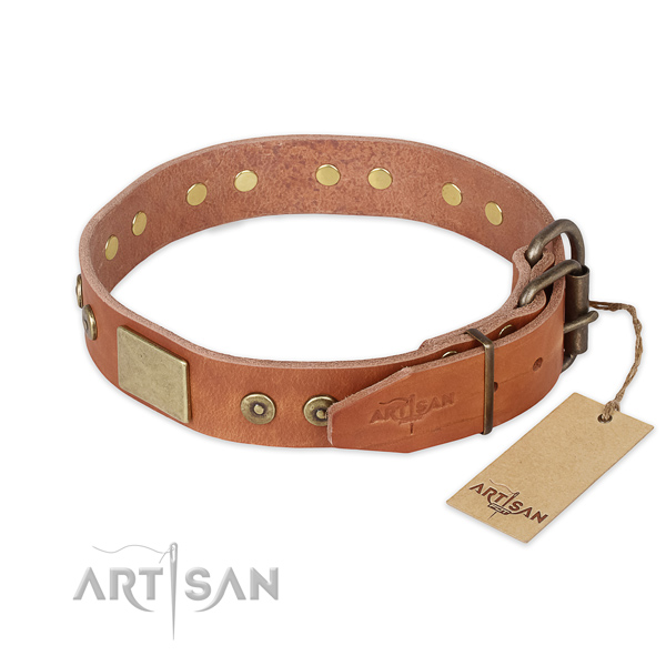 Durable traditional buckle on natural genuine leather collar for daily walking your canine